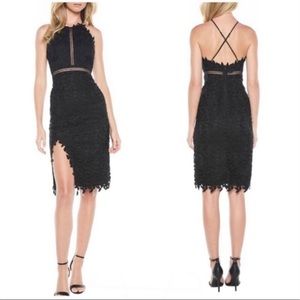 Bardot Tabytha Lace Halter Dress Black NWT